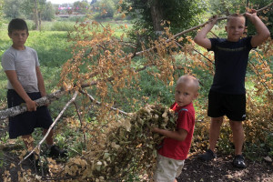  «Чистая территория»